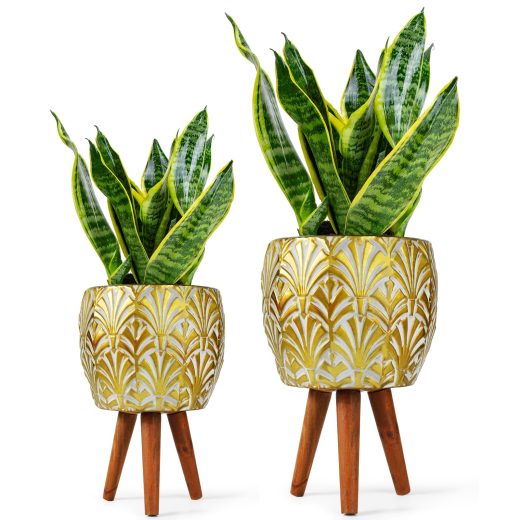 Harvest Land decorative gardening planter Decorative Gardening Planter